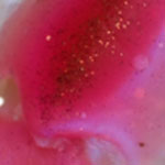 Swatch image